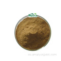 Polvo de extracto de hoja de Moringa orgánico